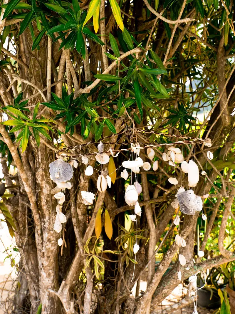 Piscine de la Pension Ariitere vue à travers des fleurs de frangipanier, Huahine